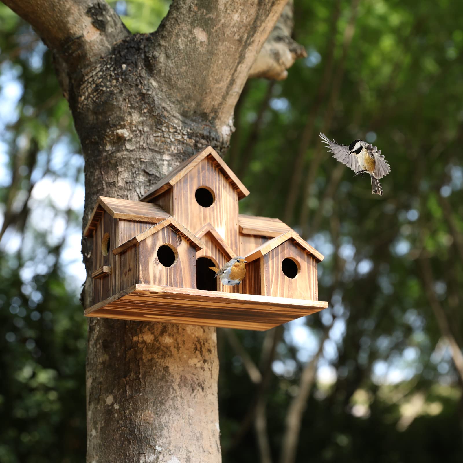 Amazon.co.jp: バードハウス、屋外クリアランス用の鳥小屋、屋外用の鳥